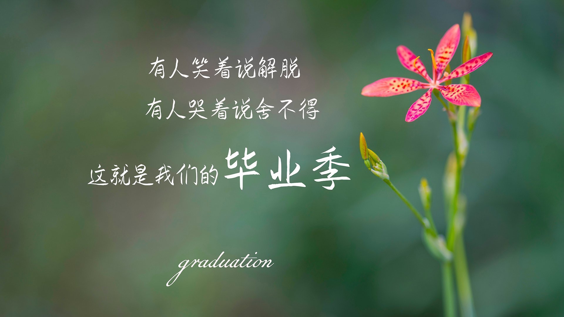 队内年轻新星值得关注,冲击奖牌不无可能,年轻队员