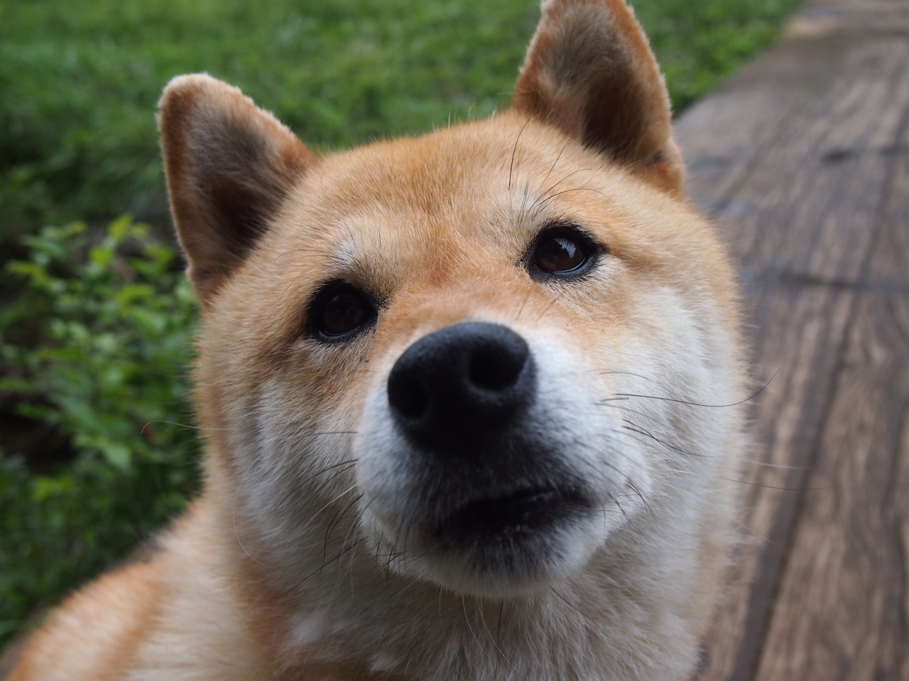 LeyuSports-快船主场首次测试新一代球场数据系统，快船主场名称