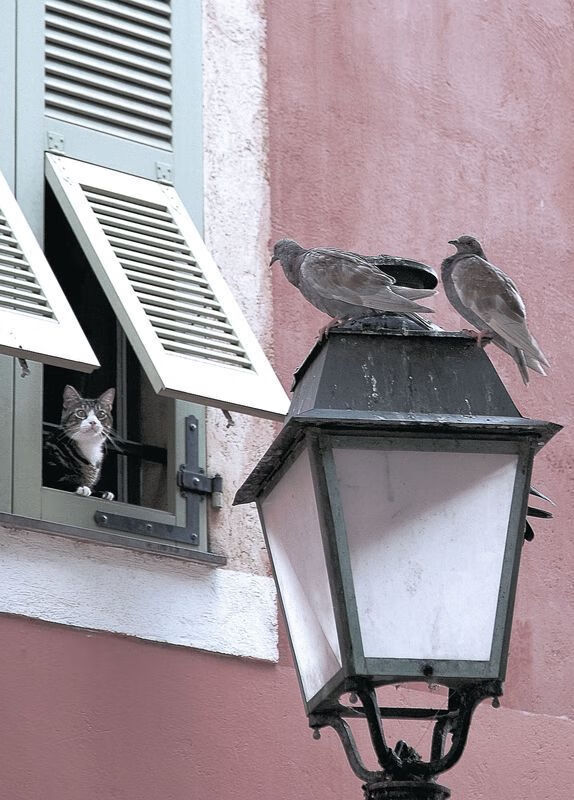 李娜讲述夺冠背后不为人知的故事,李娜两次夺冠