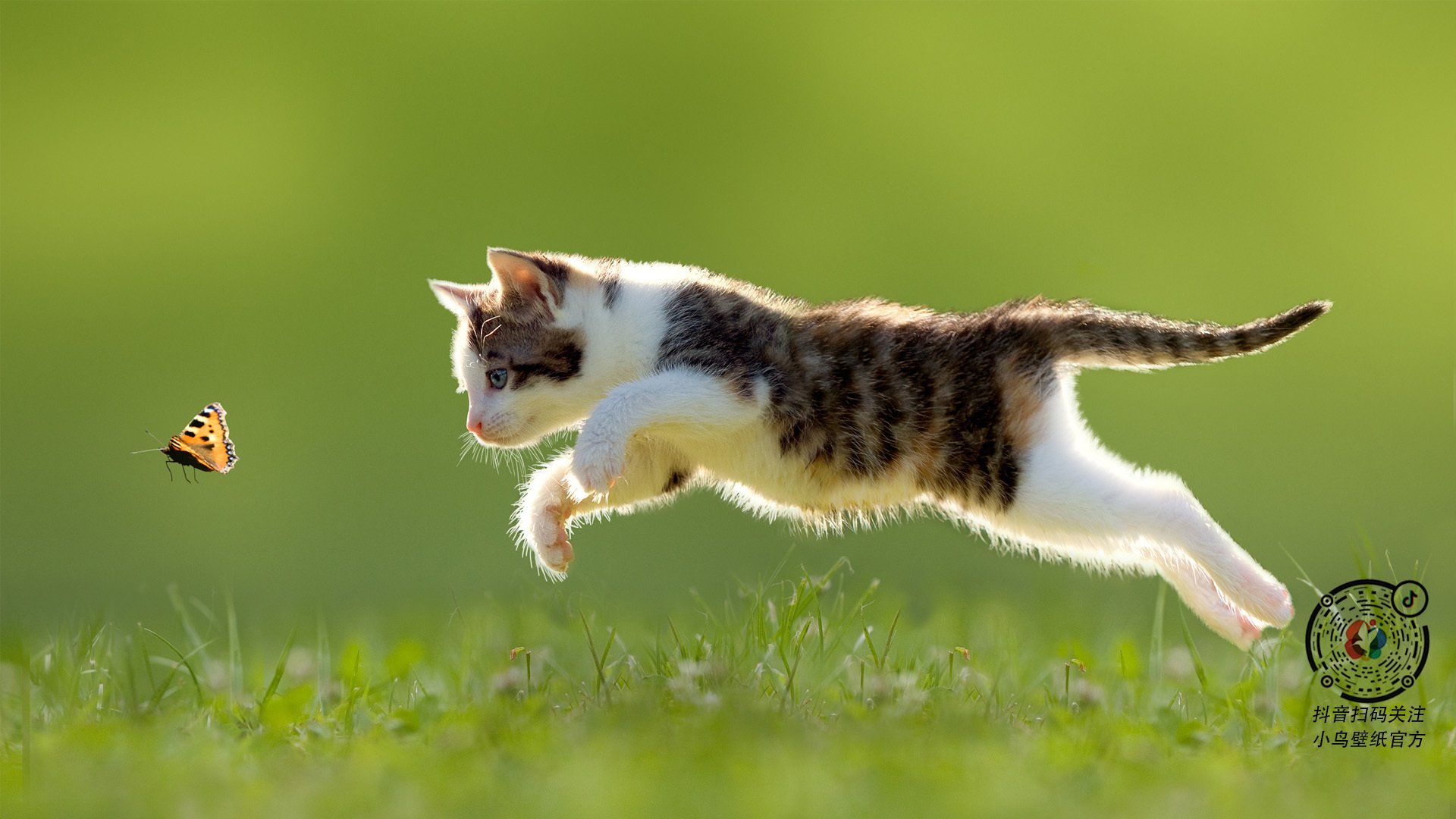 leyu.com-橄榄球与公益联动效果显著，橄榄球方案