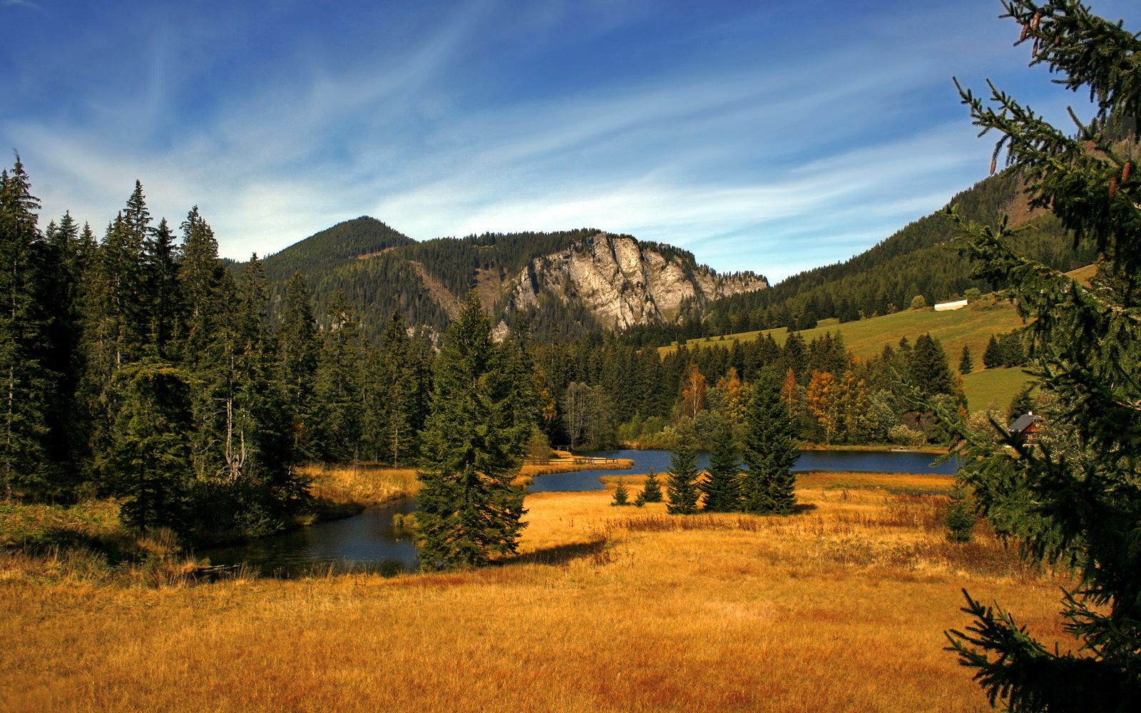 美洲杯夺冠夜:英雄辈出,成就传奇,美洲杯冠军视频