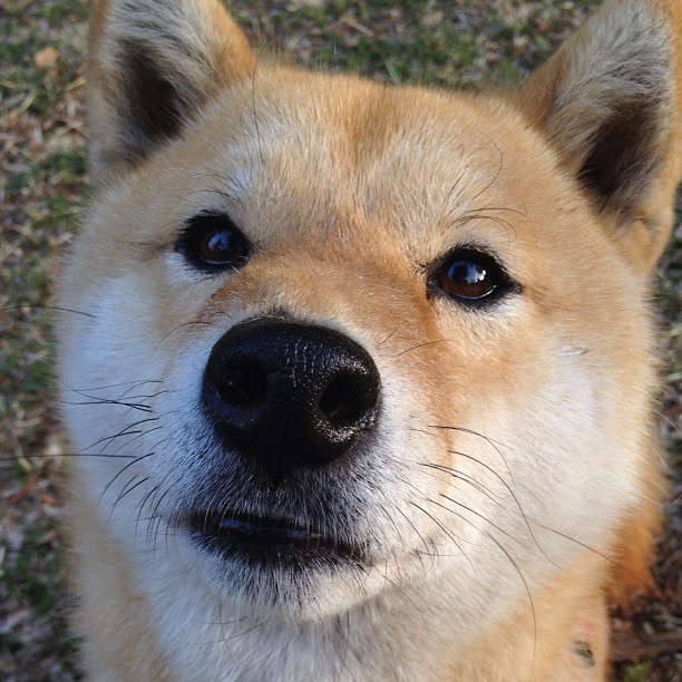 高校篮球战术公开课开讲知名教练分享实战经验干货，校园篮球赛战术